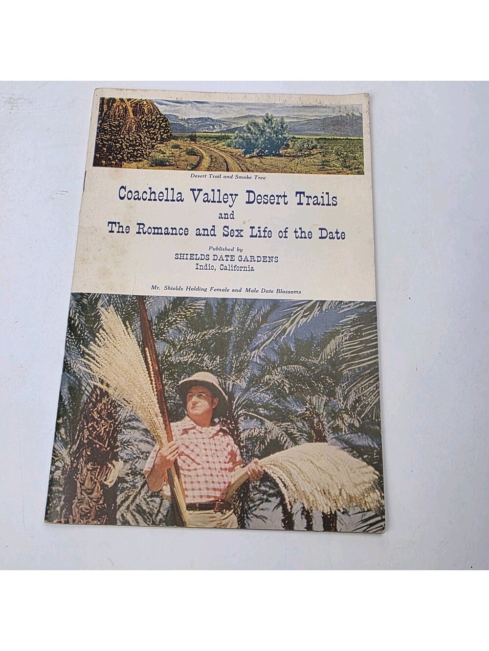 Shields Date Garden 1957 Coachella Valley Desert Trails & Sex Life of the Date